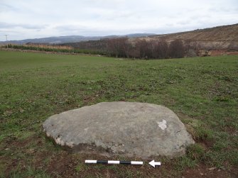 Digital photograph of panel to east, Scotland's Rock Art Project, Kinneras, Highland