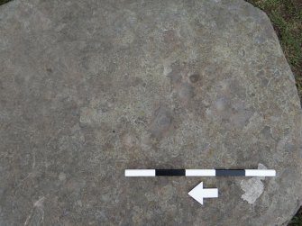 Digital photograph of close ups of motifs, Scotland's Rock Art Project, Kinneras, Highland