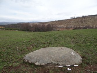 Digital photograph of panel in context with scale, Scotland's Rock Art Project, Kinneras, Highland