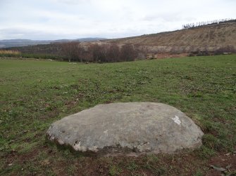 Digital photograph of panel in context without scale, Scotland's Rock Art Project, Kinneras, Highland