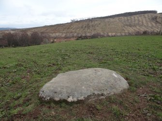 Digital photograph of rock art panel context, Scotland's Rock Art Project, Kinerras, Highland