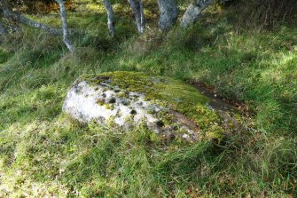 Digital photograph of panel before cleaning, from Scotland's Rock Art Project, Kinloch Lodge, Highland