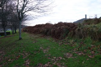 Digital photograph of rock art panel context, Scotland's Rock Art Project, Kinmylies, Highland