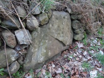 Digital photograph of rock art panel context, Scotland's Rock Art Project, Kinmylies, Highland