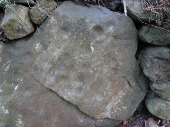 Digital photograph of rock art panel context, Scotland's Rock Art Project, Kinmylies, Highland