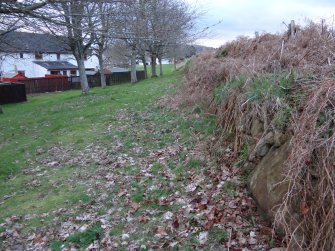 Digital photograph of rock art panel context, Scotland's Rock Art Project, Kinmylies, Highland