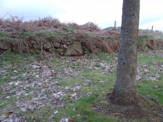 Digital photograph of rock art panel context, Scotland's Rock Art Project, Kinmylies, Highland