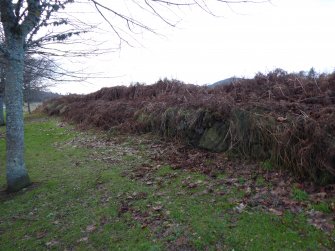 Digital photograph of rock art panel context, Scotland's Rock Art Project, Kinmylies, Highland