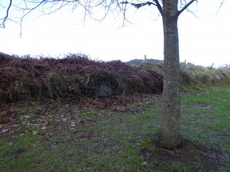 Digital photograph of rock art panel context, Scotland's Rock Art Project, Kinmylies, Highland