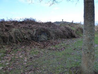 Digital photograph of rock art panel context, Scotland's Rock Art Project, Kinmylies, Highland