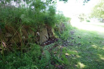 Digital photograph of panel to north, Scotland's Rock Art Project, Kinmylies, Highland