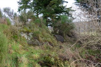 Digital photograph of panel in context with scale, from Scotland's Rock Art Project, Leanach, Highland