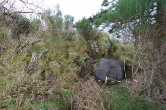 Digital photograph of panel to north, from Scotland's Rock Art Project, Leanach, Highland