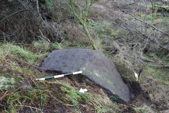 Digital photograph of panel to east, from Scotland's Rock Art Project, Leanach, Highland