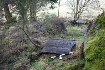 Digital photograph of panel to south, from Scotland's Rock Art Project, Leanach, Highland