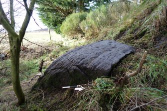 Digital photograph of panel to west, from Scotland's Rock Art Project, Leanach, Highland