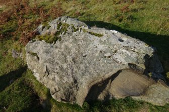 Digital photograph of rock art panel context, Scotland's Rock Art Project, Maiden's Rock, Highland