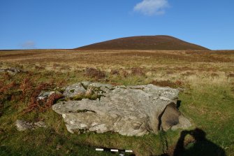 Digital photograph of rock art panel context, Scotland's Rock Art Project, Maiden's Rock, Highland