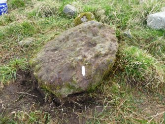 Digital photograph of rock art panel context, Scotland's Rock Art Project, Mulchaich East, Highland