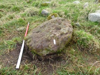 Digital photograph of panel to south, from Scotland's Rock Art Project, Mulchaich East, Highland