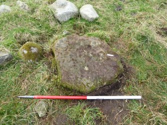 Digital photograph of panel to west, from Scotland's Rock Art Project, Mulchaich East, Highland