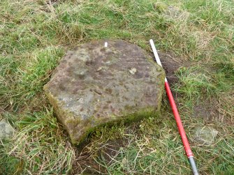 Digital photograph of panel to north, from Scotland's Rock Art Project, Mulchaich East, Highland