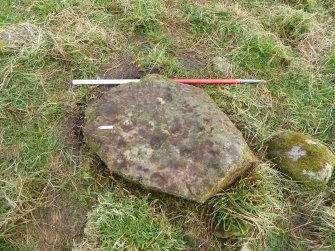 Digital photograph of panel to east, from Scotland's Rock Art Project, Mulchaich East, Highland