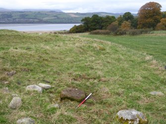 Digital photograph of panel in context with scale, from Scotland's Rock Art Project, Mulchaich East, Highland