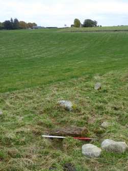 Digital photograph of rock art panel context, Scotland's Rock Art Project, Mulchaich East, Highland