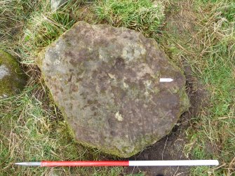 Digital photograph of perpendicular to carved surface(s), from Scotland's Rock Art Project, Mulchaich East, Highland