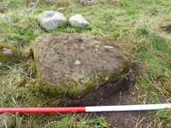 Digital photograph of rock art panel context, Scotland's Rock Art Project, Mulchaich East, Highland