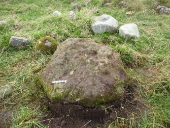 Digital photograph of rock art panel context, Scotland's Rock Art Project, Mulchaich East, Highland