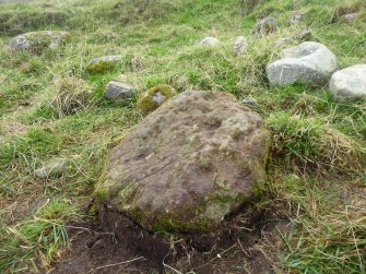 Digital photograph of rock art panel context, Scotland's Rock Art Project, Mulchaich East, Highland