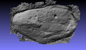 Snapshot of 3D model, from Scotland's Rock Art Project, Rogie Farm 17, Highland