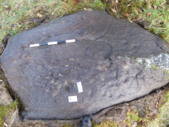 Digital photograph of close ups of motifs, Scotland's Rock Art Project, Rogie Farm 17, Highland