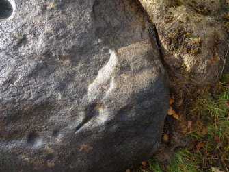 Digital photograph of close ups of motifs, Scotland's Rock Art Project, Rogie Farm 17, Highland