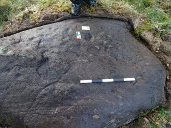 Digital photograph of panel, from Scotland's Rock Art Project, Rogie Farm 17, Highland