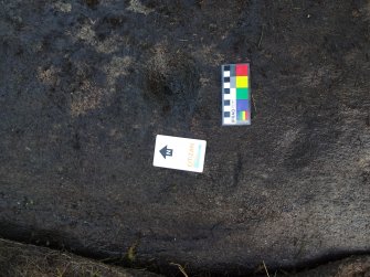 Digital photograph of close ups of motifs, from Scotland's Rock Art Project, Rogie Farm 17, Highland