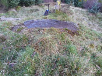 Digital photograph of panel to east, Scotland's Rock Art Project, Rogie Farm 17, Highland