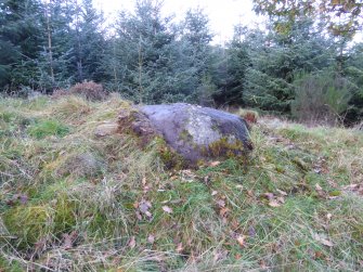 Digital photograph of panel to north, Scotland's Rock Art Project, Rogie Farm 17, Highland