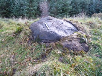 Digital photograph of panel to south, Scotland's Rock Art Project, Rogie Farm 17, Highland