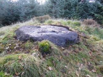 Digital photograph of panel to west, Scotland's Rock Art Project, Rogie Farm 17, Highland