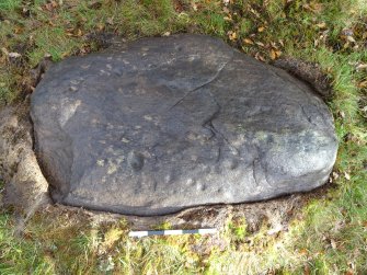 Digital photograph of perpendicular to carved surface(s), Scotland's Rock Art Project, Rogie Farm 17, Highland