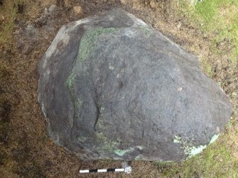 Digital photograph of perpendicular to carved surface(s), from Scotland's Rock Art Project, Rogie Upper 39, Highland