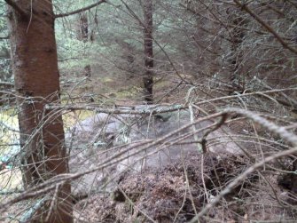 Digital photograph of panel to south, from Scotland's Rock Art Project, Rogie Upper 39, Highland