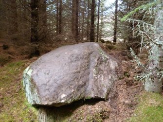 Digital photograph of panel to west, from Scotland's Rock Art Project, Rogie Upper 39, Highland