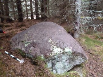 Digital photograph of panel to north, from Scotland's Rock Art Project, Rogie Upper 39, Highland