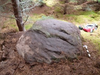 Digital photograph of panel to east, from Scotland's Rock Art Project, Rogie Upper 39, Highland