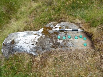 Digital photograph of rock art panel context, Scotland's Rock Art Project, Strath Sgitheach Allt na Criche 6, Highland