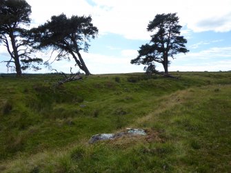 Digital photograph of rock art panel context, Scotland's Rock Art Project, Strath Sgitheach Allt na Criche 6, Highland